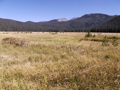 big meadows
