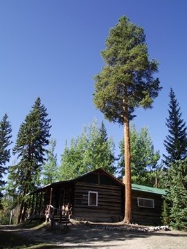 holzwarth-mama-cabin