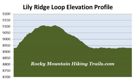 lily-ridge-elevation-profile