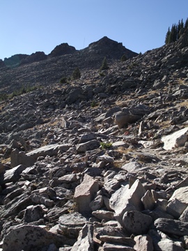 twin sisters peak