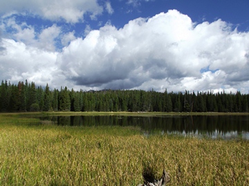 bierstadt-lake