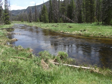 North Inlet Creek