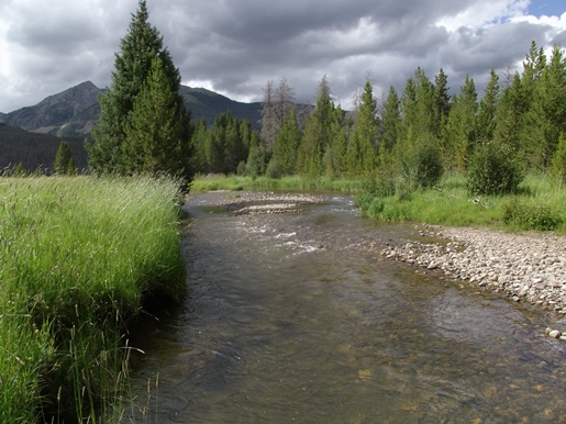 colorado-river