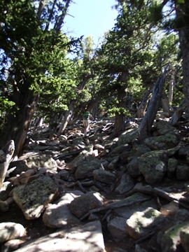 estes cone trail