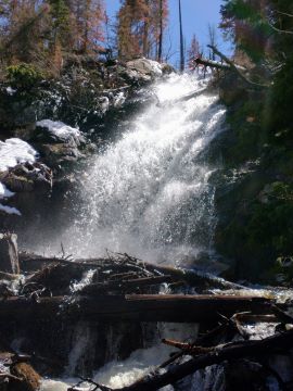 fern falls