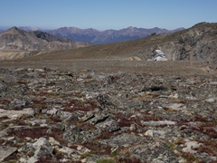 flattop mountain