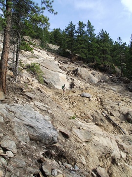 Lily Mountain Trail