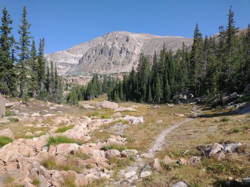 lion lake trail