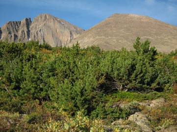 longs-peak and mt-lady-washington