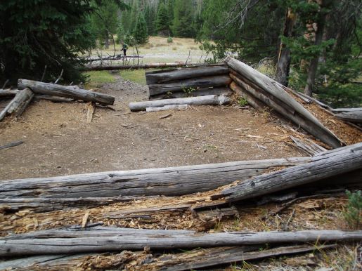 joe shipler cabin