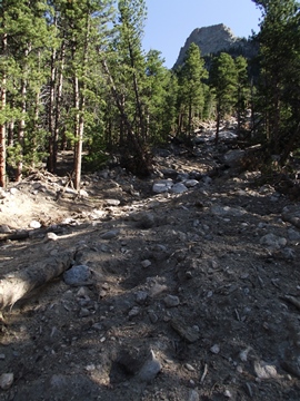 Black Canyon Trail