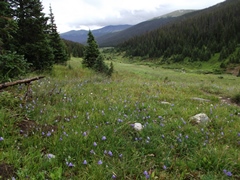 poudre-river-trail