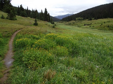 poudre-river-trail