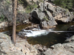 The Pool
