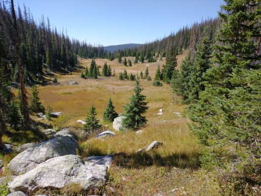 timber lake trail