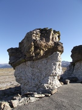 mushroom rocks