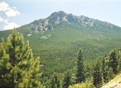 Twin Sisters Peak