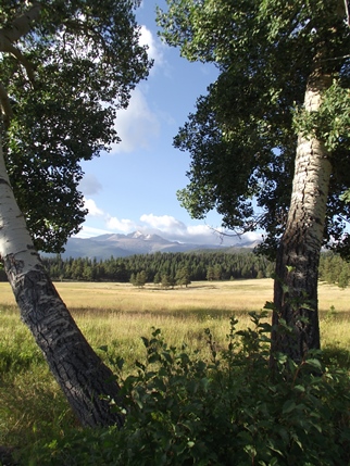 uuper-beaver-meadows-loop