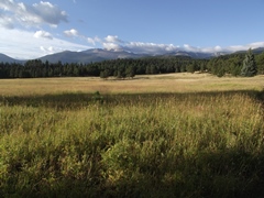 upper beaver meadows