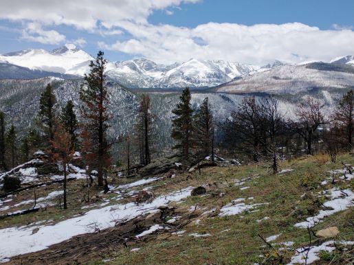 uuper-beaver-meadows