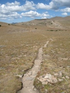 ute-trail