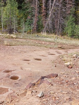 west gold hill dinosaur tracks