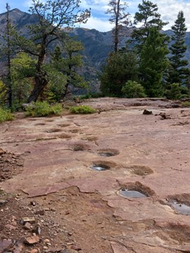 west gold hill dinosaur tracks